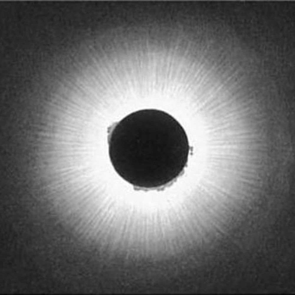 Meet your Posher, Di